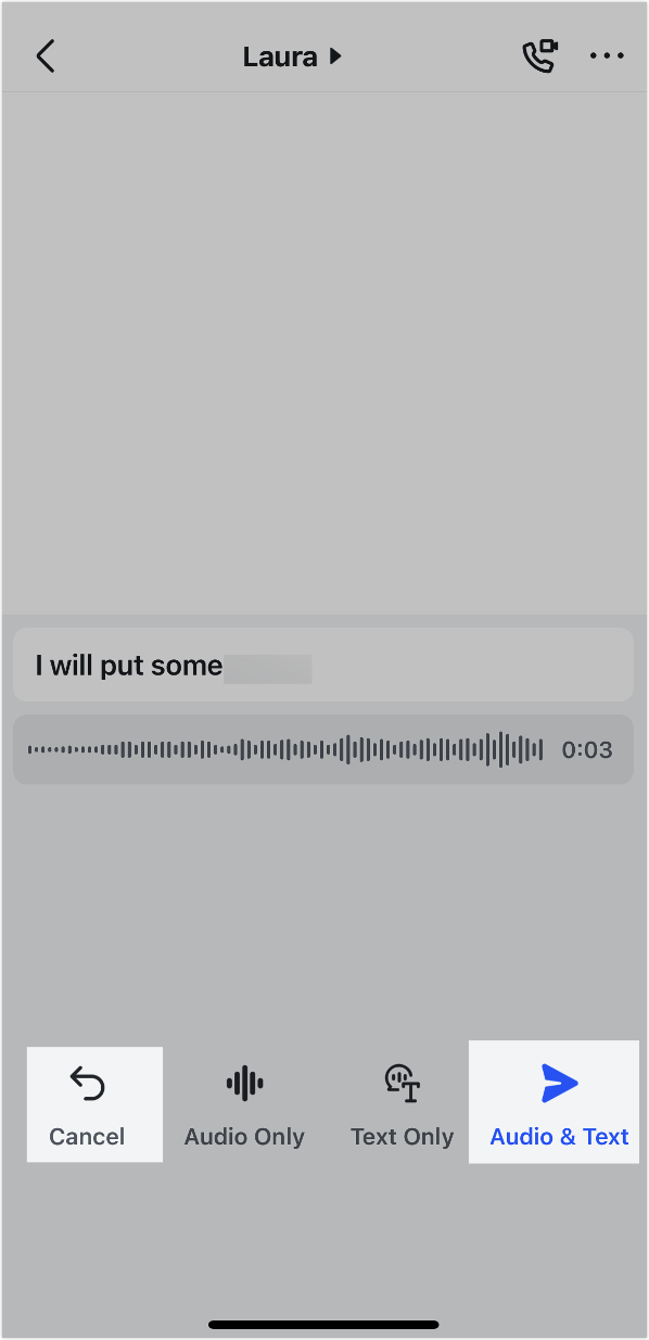 Send voice messages